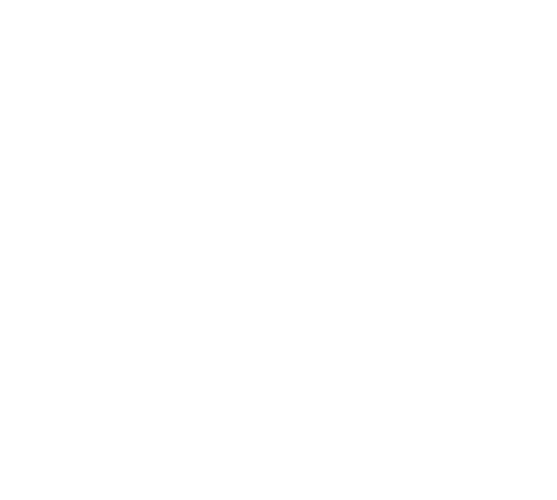 Testudo crest